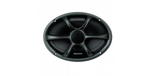 Phoenix Gold RX Series 4x6" Speaker