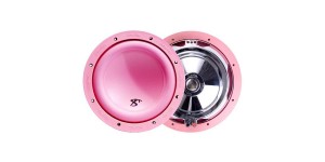 In Phase XT-8P 1000W 8" Subwoofer